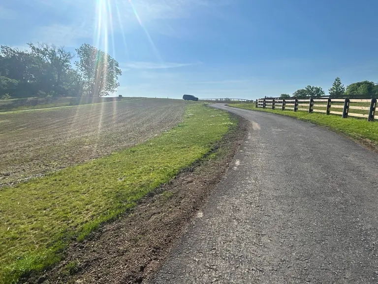 Waterlogged ground before drainage correction