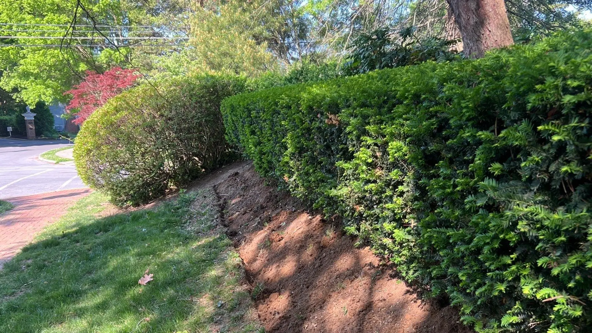 Basement & Foundation Drainage in Chester County, Pennsylvania