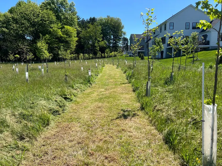 Swale Installation in Chester County, Pennsylvania