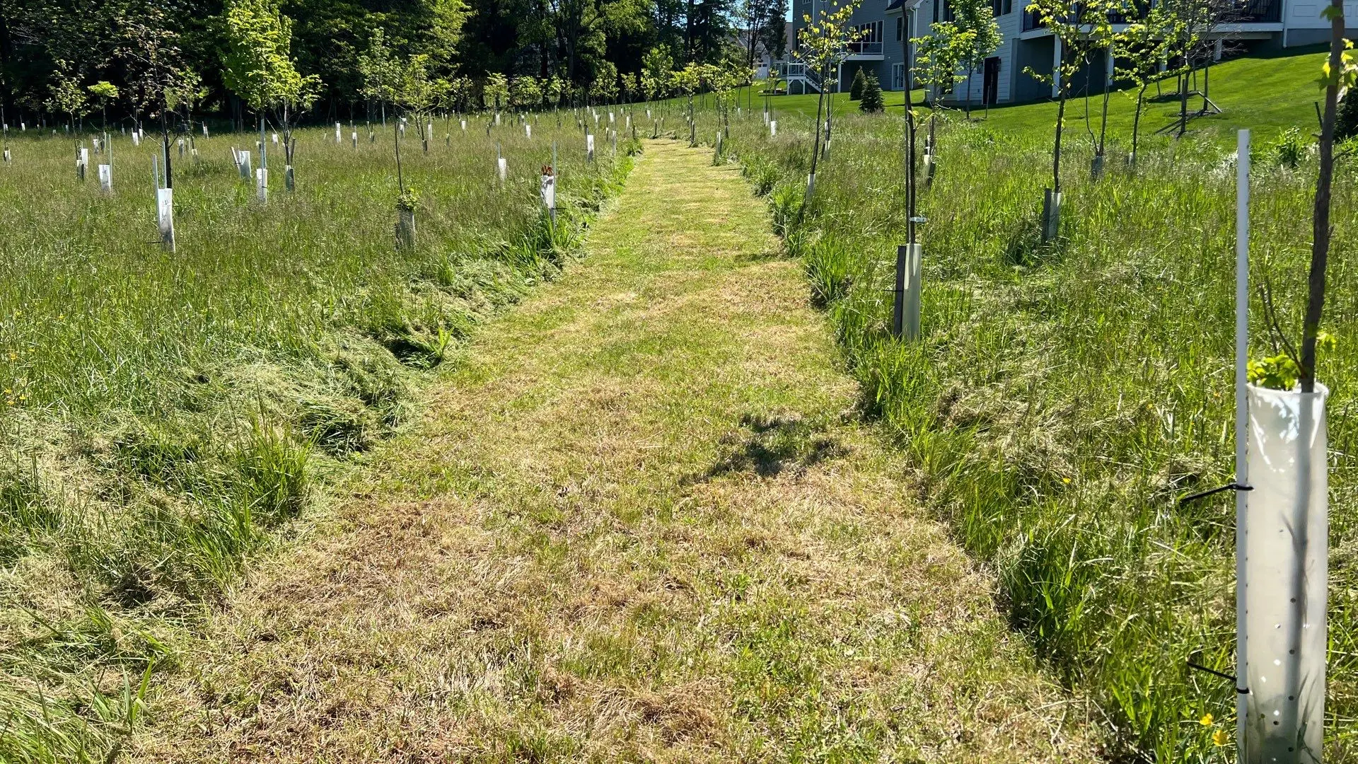 Swale Installation in Chester County, Pennsylvania