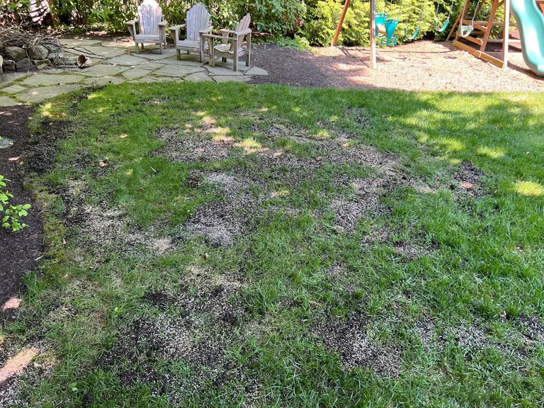 Yard Drainage Systems in Chester County, Pennsylvania