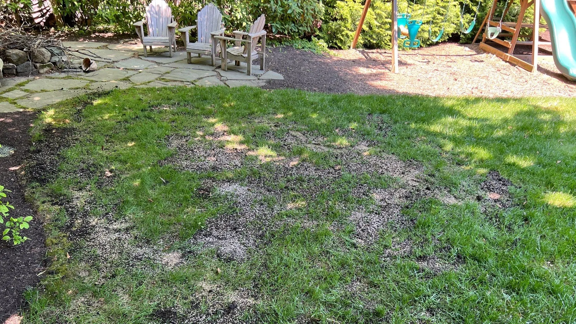 Waterlogged lawn in southeastern Pennsylvania